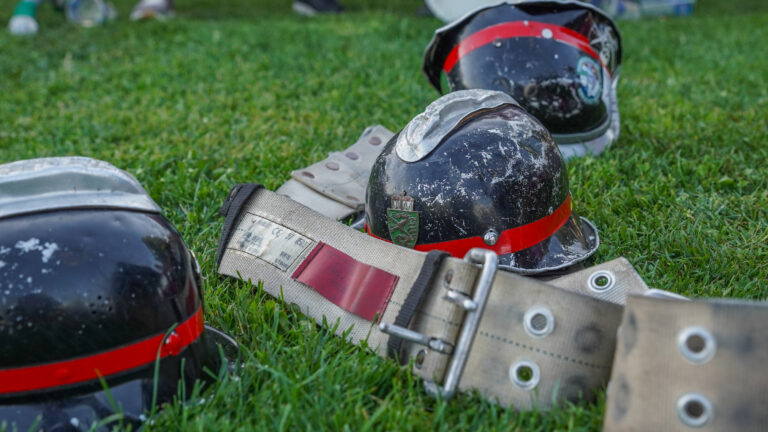 54557588677 9d8e953b7a o